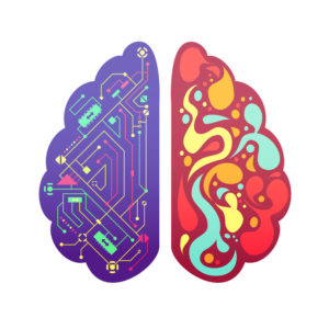 right brain versus left brain