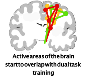 dual task training and brain activity